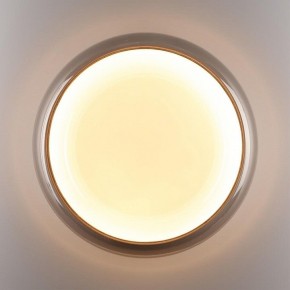 Накладной светильник Sonex PORTMAN 7777/DLN в Глазове - glazov.ok-mebel.com | фото 6