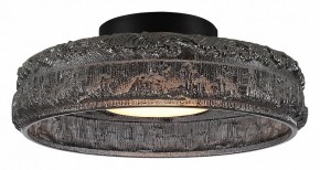 Накладной светильник ST-Luce ANTIKE SL6143.412.01 в Глазове - glazov.ok-mebel.com | фото 2