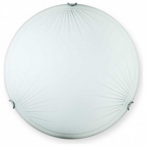 Накладной светильник TopLight Wifa TL9142Y-00WH в Глазове - glazov.ok-mebel.com | фото