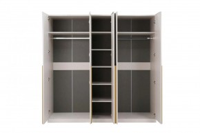 НИКОЛЬ 25 Шкаф 5-ти створчатый в Глазове - glazov.ok-mebel.com | фото 3