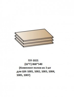 ПЛ-1021 (Комплект полок из 3 шт для ШК-1001, 1002, 1003, 1004, 1005, 1007) в Глазове - glazov.ok-mebel.com | фото