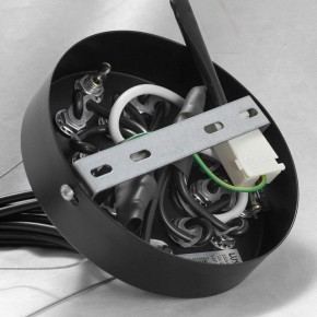 Подвесная люстра Lussole Seneca GRLSP-8177 в Глазове - glazov.ok-mebel.com | фото 10