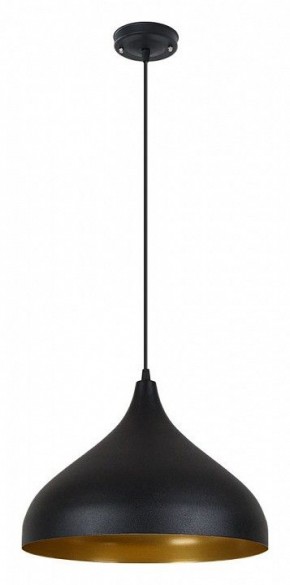 Подвесной светильник Arte Lamp Carmel A7076SP-1BK в Глазове - glazov.ok-mebel.com | фото 2
