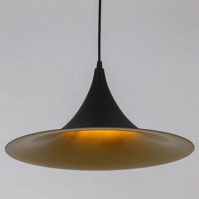 Подвесной светильник Arte Lamp Carmel A7080SP-1BK в Глазове - glazov.ok-mebel.com | фото