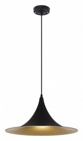 Подвесной светильник Arte Lamp Carmel A7080SP-1BK в Глазове - glazov.ok-mebel.com | фото 2