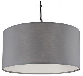 Подвесной светильник Arte Lamp Coppa A4095SP-3GY в Глазове - glazov.ok-mebel.com | фото