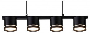 Подвесной светильник Arte Lamp Legacy A8024SP-4BK в Глазове - glazov.ok-mebel.com | фото