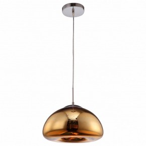 Подвесной светильник Arte Lamp Swift A8041SP-1GO в Глазове - glazov.ok-mebel.com | фото 2