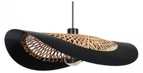 Подвесной светильник Arte Lamp Woodstock A7059SP-1BK в Глазове - glazov.ok-mebel.com | фото