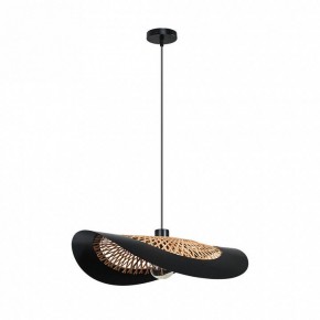 Подвесной светильник Arte Lamp Woodstock A7059SP-1BK в Глазове - glazov.ok-mebel.com | фото 2