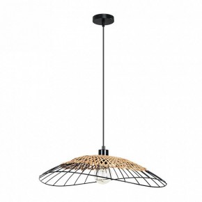Подвесной светильник Arte Lamp Woodstock A7061SP-1BK в Глазове - glazov.ok-mebel.com | фото 2