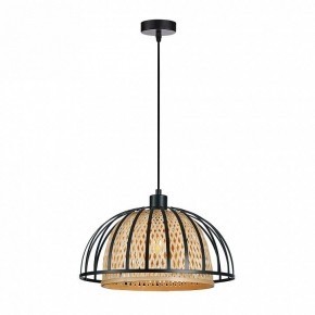 Подвесной светильник Arte Lamp Woodstock A7071SP-1BK в Глазове - glazov.ok-mebel.com | фото