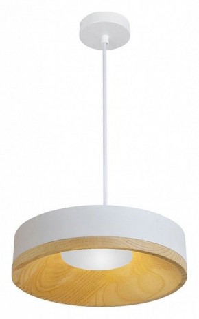 Подвесной светильник Divinare Vaso 5119/33 SP-8 в Глазове - glazov.ok-mebel.com | фото 2