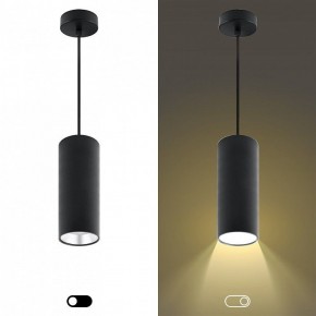 Подвесной светильник Эра  PL12 GX53 BK/SL в Глазове - glazov.ok-mebel.com | фото 5