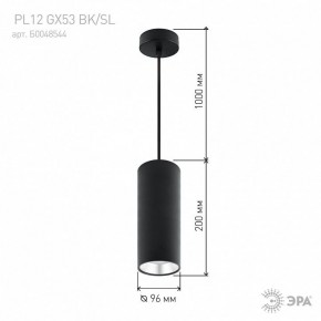 Подвесной светильник Эра  PL12 GX53 BK/SL в Глазове - glazov.ok-mebel.com | фото 8