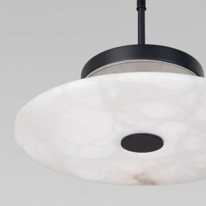 Подвесной светильник Eurosvet Thasos 40342 LED черный в Глазове - glazov.ok-mebel.com | фото 8