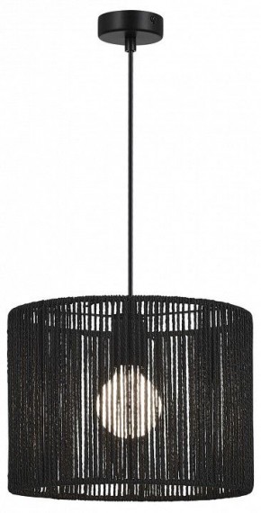 Подвесной светильник EVOLUCE ETTAN SLE6024-403-01 в Глазове - glazov.ok-mebel.com | фото 2
