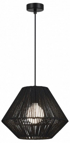 Подвесной светильник EVOLUCE ETTAN SLE6025-403-01 в Глазове - glazov.ok-mebel.com | фото 2