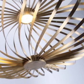 Подвесной светильник Favourite Spring 4680-1P в Глазове - glazov.ok-mebel.com | фото 5