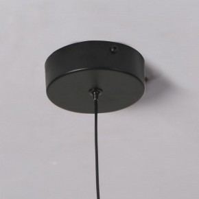 Подвесной светильник Favourite Wilet 4656-1P в Глазове - glazov.ok-mebel.com | фото 10