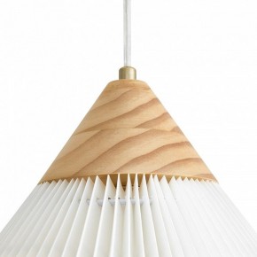Подвесной светильник Freya Kinsley FR5533PL-01BS в Глазове - glazov.ok-mebel.com | фото 8