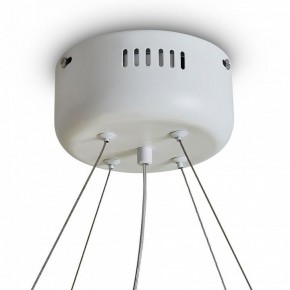 Подвесной светильник Freya Rain FR5546PL-L60W в Глазове - glazov.ok-mebel.com | фото 9