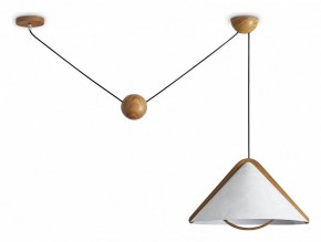 Подвесной светильник Freya Umbra FR5554CL-01T в Глазове - glazov.ok-mebel.com | фото