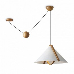 Подвесной светильник Freya Umbra FR5554CL-01T в Глазове - glazov.ok-mebel.com | фото 2