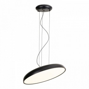 Подвесной светильник Lussole Crook LSP-7360 в Глазове - glazov.ok-mebel.com | фото 2