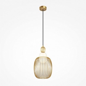 Подвесной светильник Maytoni Levitation MOD376PL-01G1 в Глазове - glazov.ok-mebel.com | фото 2