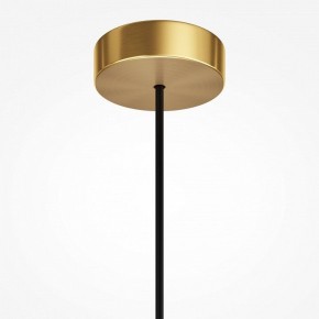 Подвесной светильник Maytoni Levitation MOD376PL-01G1 в Глазове - glazov.ok-mebel.com | фото 7