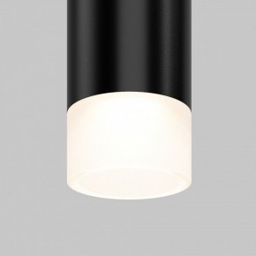 Подвесной светильник Maytoni Skim TR191-1-3W4K-M-B в Глазове - glazov.ok-mebel.com | фото 2