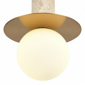 Подвесной светильник ST-Luce Earthy SL1194.303.01 в Глазове - glazov.ok-mebel.com | фото 5