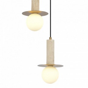 Подвесной светильник ST-Luce Earthy SL1194.303.03 в Глазове - glazov.ok-mebel.com | фото 4