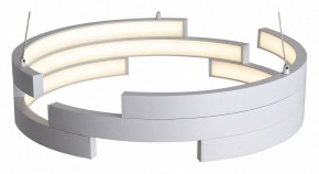 Подвесной светильник ST-Luce Genuine SL963.503.01 в Глазове - glazov.ok-mebel.com | фото