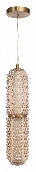 Подвесной светильник ST-Luce SAGUARO SL6144.303.01 в Глазове - glazov.ok-mebel.com | фото 3