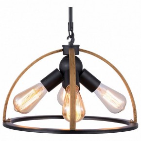 Подвесной светильник TopLight Jasmin TL1179H-04BK в Глазове - glazov.ok-mebel.com | фото