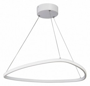 Подвесной светильник Vitaluce V04624 V04624-03/1S в Глазове - glazov.ok-mebel.com | фото 2