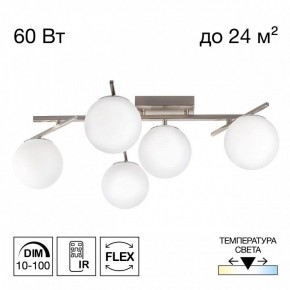 Потолочная люстра Citilux Dorsy CL223151 в Глазове - glazov.ok-mebel.com | фото 2