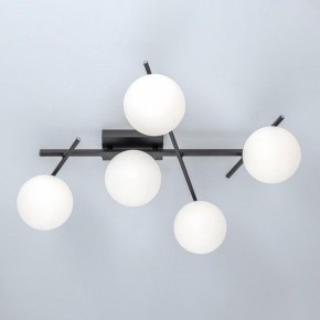 Потолочная люстра Citilux Dorsy CL223152 в Глазове - glazov.ok-mebel.com | фото 6