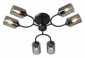 Потолочная люстра Vitaluce V2823 V2823-1/6PL в Глазове - glazov.ok-mebel.com | фото 2