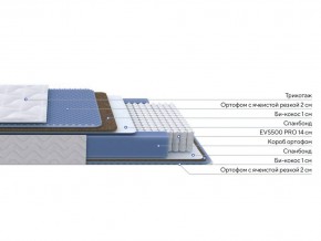 PROxSON Матрас Active Comfort M (Ткань Трикотаж Эко) 120x200 в Глазове - glazov.ok-mebel.com | фото 2