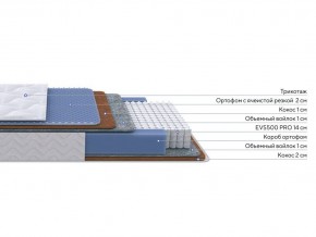 PROxSON Матрас Active Duo M/F (Ткань Трикотаж Эко) 90x200 в Глазове - glazov.ok-mebel.com | фото 2