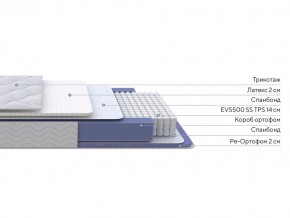 PROxSON Матрас Active Duo S/F (Ткань Трикотаж Эко) 160x195 в Глазове - glazov.ok-mebel.com | фото