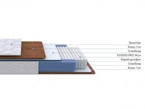 PROxSON Матрас Active F Roll (Ткань Трикотаж Эко) 160x200 в Глазове - glazov.ok-mebel.com | фото 3