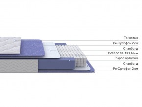 PROxSON Матрас Active F (Ткань Трикотаж Эко) 120x190 в Глазове - glazov.ok-mebel.com | фото 2
