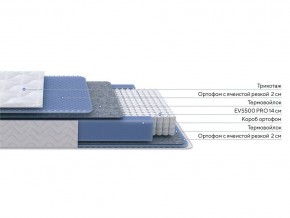 PROxSON Матрас Active M Roll (Ткань Трикотаж Эко) 160x195 в Глазове - glazov.ok-mebel.com | фото 2