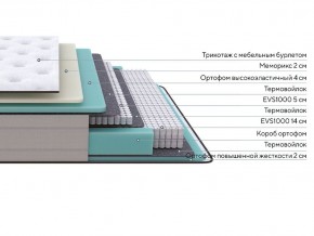 PROxSON Матрас Elysium Soft (Трикотаж Spiral-RT) 90x190 в Глазове - glazov.ok-mebel.com | фото 10