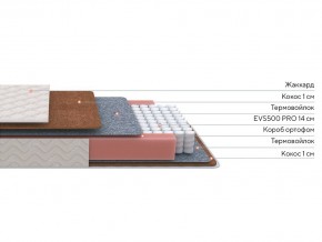 PROxSON Матрас Standart F Roll (Ткань Синтетический жаккард) 120x200 в Глазове - glazov.ok-mebel.com | фото 2