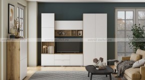 МИЛАН-1 Секция ТВ (ЦРК.МЛН.01 секция ТВ) в Глазове - glazov.ok-mebel.com | фото 3